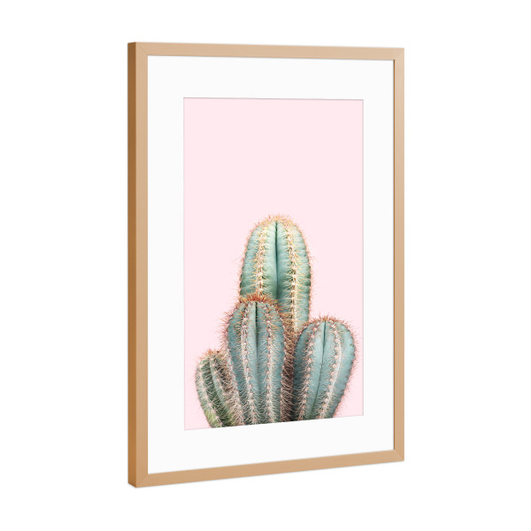 Poster mit Rahmen Kupfer "Blush Cactus" artboxONE - Natur,Floral