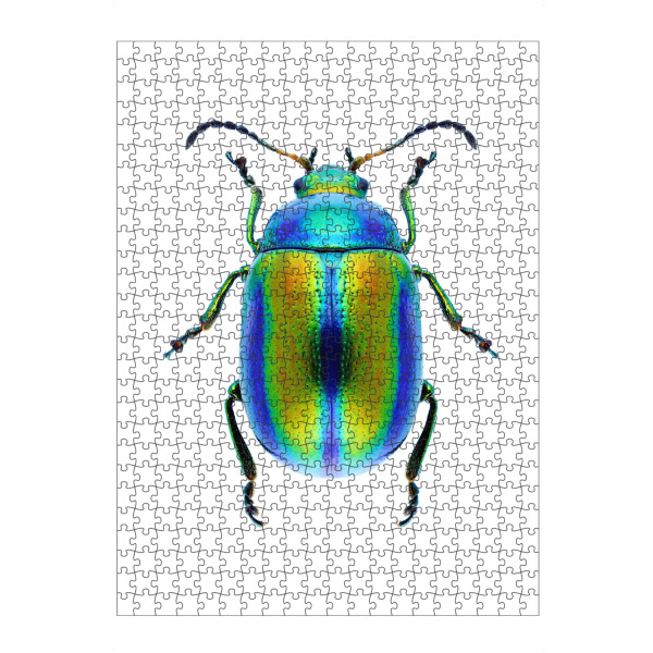 Puzzle Ravensburger "Chrysolina fastuosa" artboxONE - Natur,Tiere