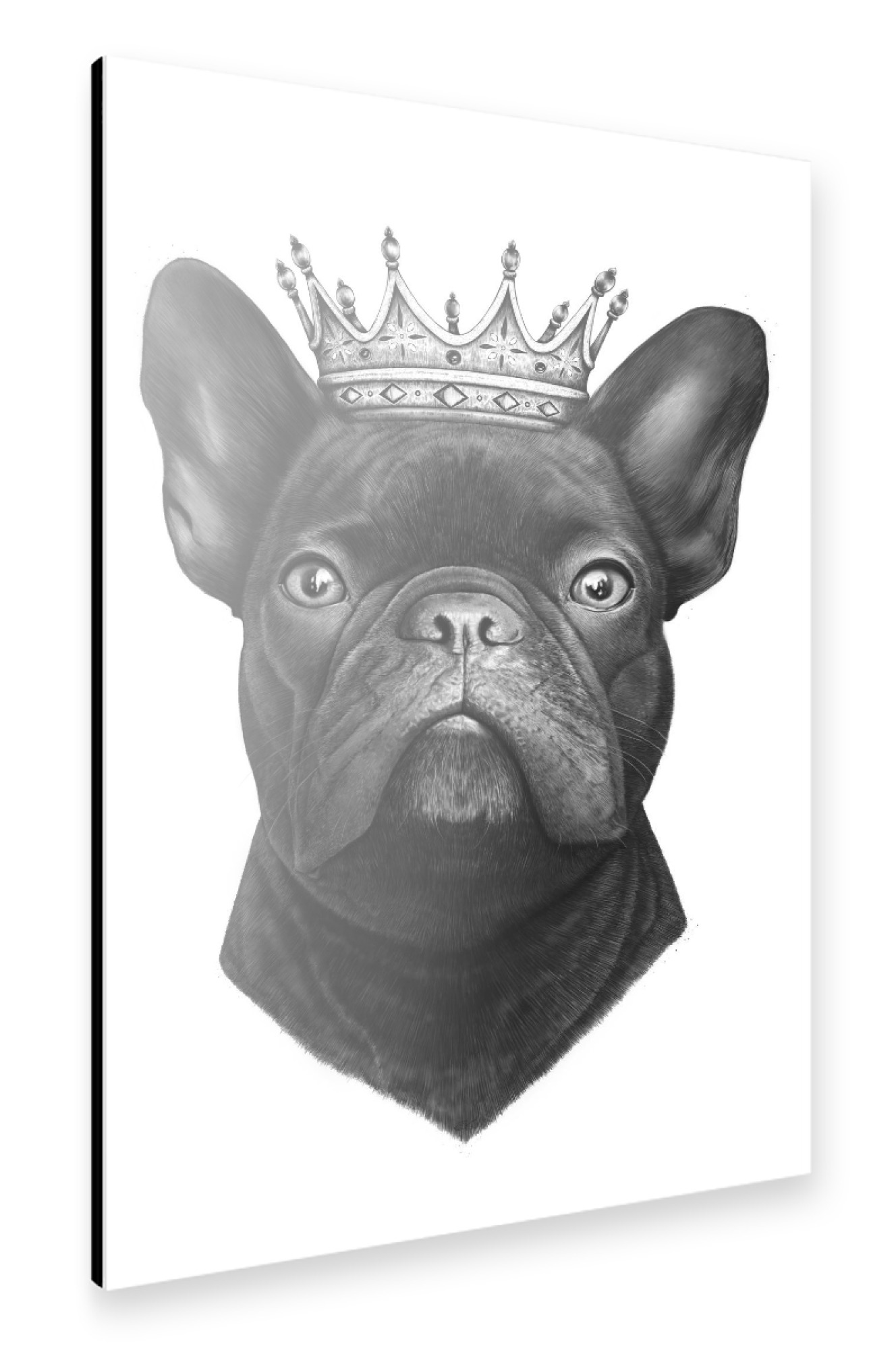 Alu-Dibond "King french bulldog" 30x20 cm artboxONE