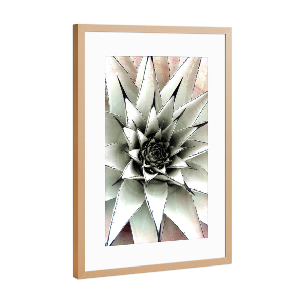 Poster mit Rahmen Kupfer "Sukkulente Pastel" artboxONE - Natur,Floral