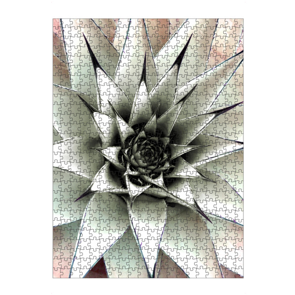 artboxONE Puzzle "Sukkulente Pastel" artboxONE - Natur,Floral