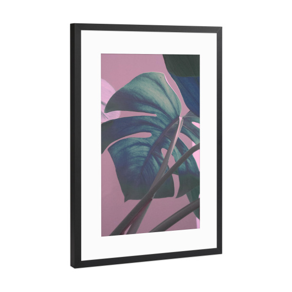 Poster mit Rahmen Schwarz (Metallic) "Monstera Leaves on Sweet Pink" artboxONE - Natur,Floral