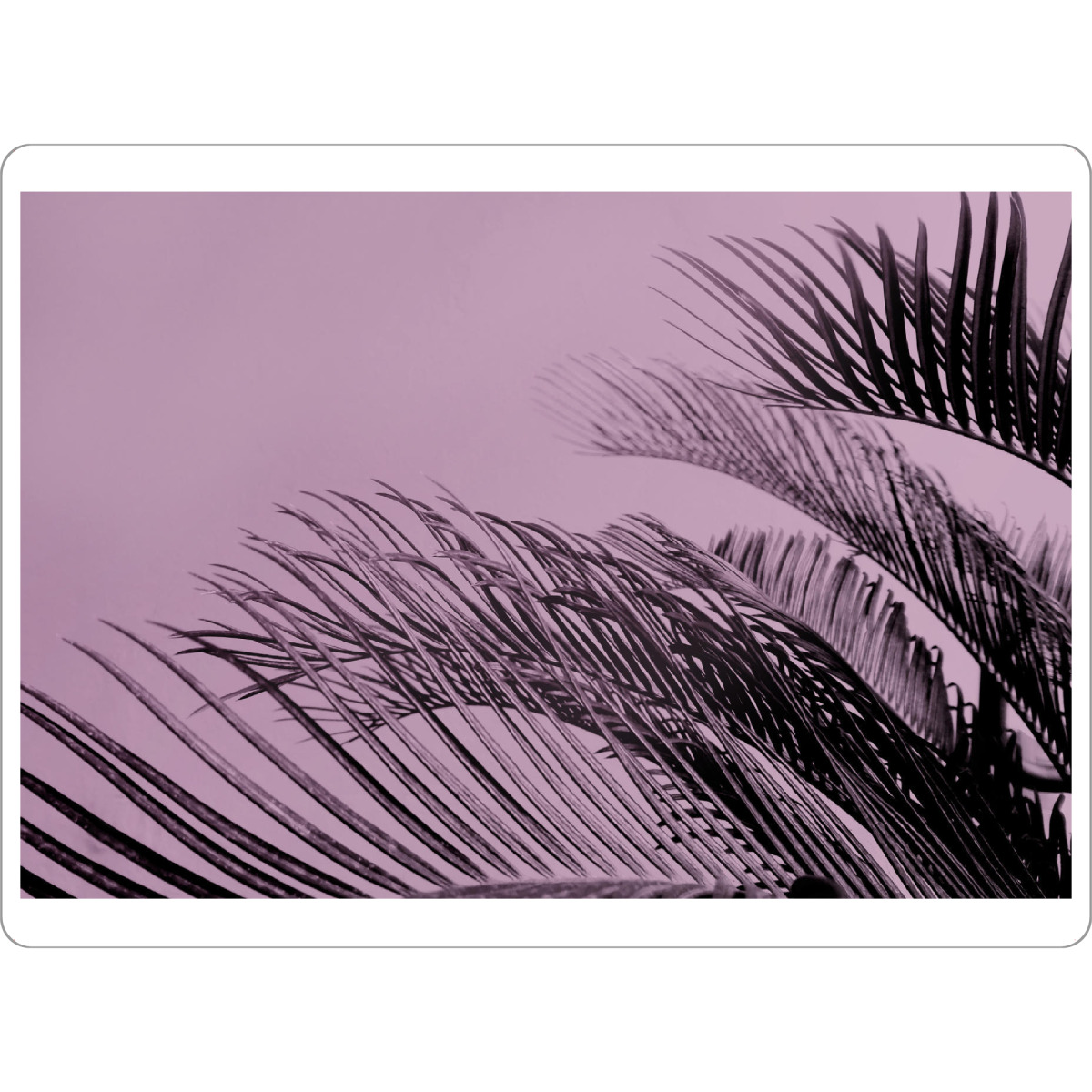 Tischset "Ultraviolet Palms" artboxONE - Natur,Reise - Black,Purple,Palm,Leaf,Tropical,Exotic,Summer,Palme,Palmenblatt,Blatt - Bild black
