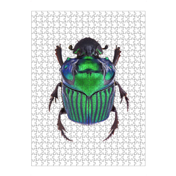 artboxONE Puzzle "Oxysternon conspicillatum" artboxONE - Tiere