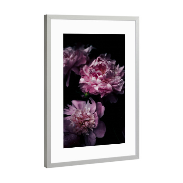 Poster mit Rahmen Silber "Pink Peonies" artboxONE - Natur,Floral