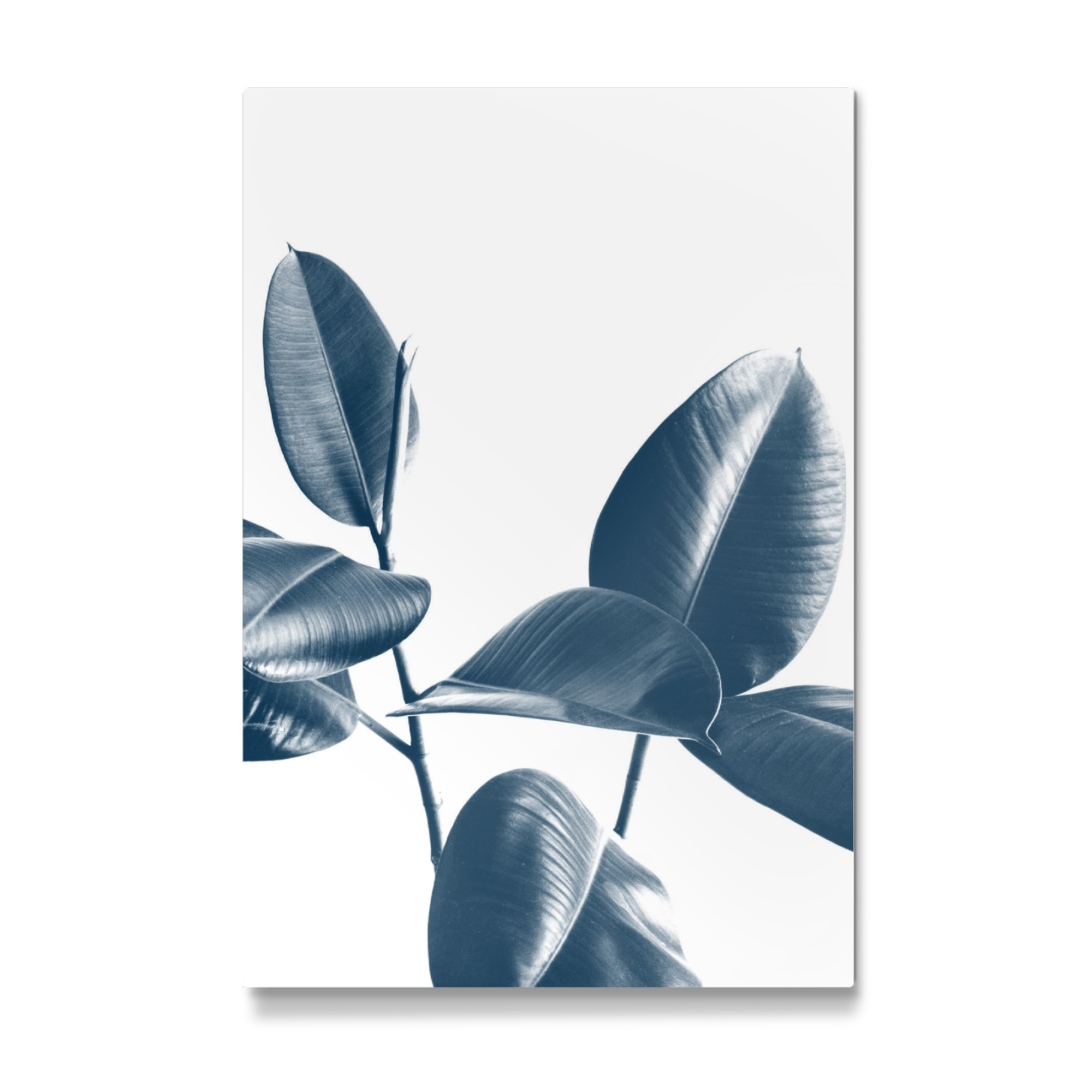 Galerie-Print "Greenery Leaves One" 30x20 cm artboxONE