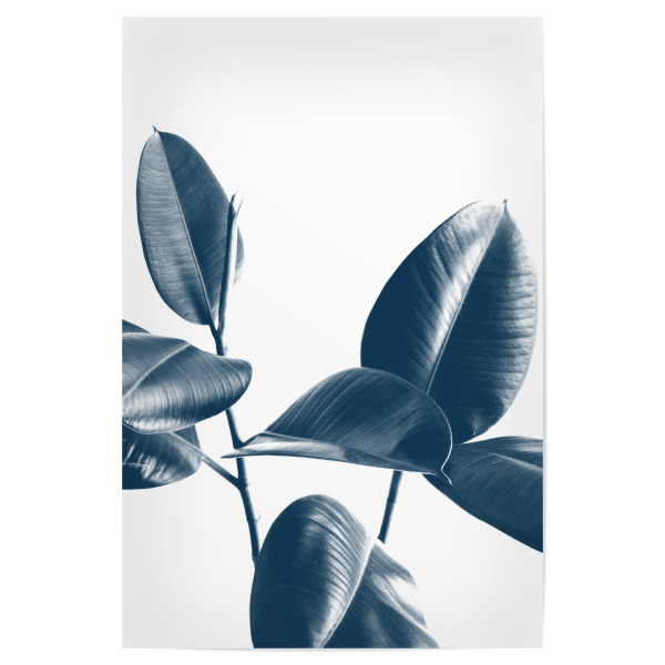 Poster "Greenery Leaves One" artboxONE - Natur,Floral - Greenery,Leaf,Leaves,Tropical,Double,Summer,White,Blue,Blätter,Pflanze