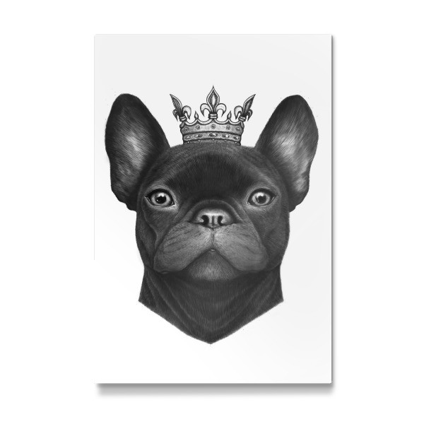 Galerie-Print "Queen french bulldog" 30x20 cm artboxONE
