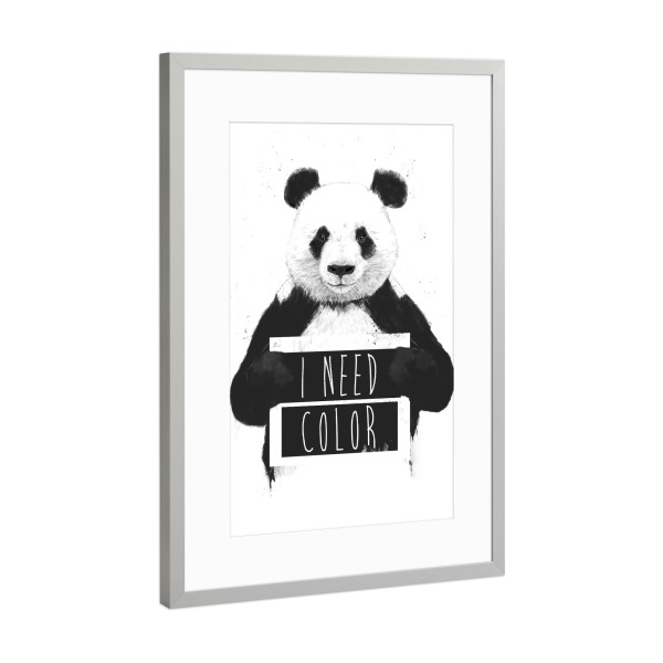 Poster mit Rahmen Silber "I need color" artboxONE - Typografie,Tiere,Schwarzweiß,Lustig - Panda,Animal,Drawing,Grunge,Humor,Graffiti