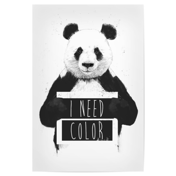 Poster 30x20 cm "I need color" artboxONE - Typografie,Tiere,Schwarzweiß,Lustig - Panda,Animal,Drawing,Grunge,Humor,Graffiti