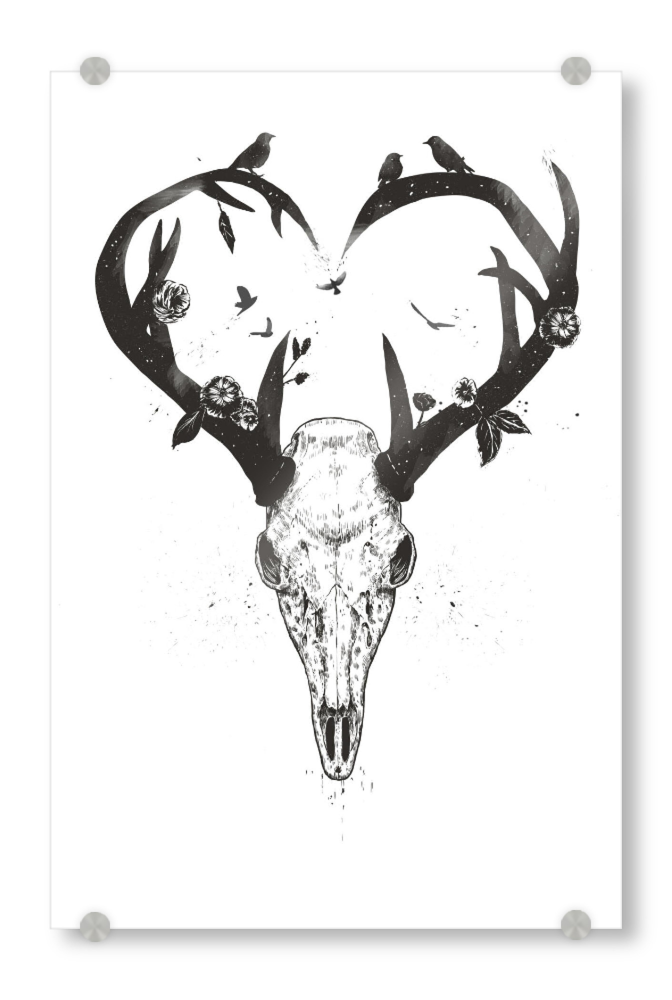 Acrylglasbild "Neverending love (bw)" artboxONE - Tiere,Schwarzweiß,Liebe - Deer,Skull,Antlers,Heart,Love,Drawing,Hirsch,Skelett,Schädel,Herz