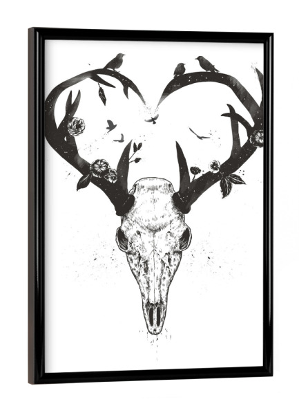 Poster mit schwarzem Rahmen "Neverending love (bw)" artboxONE - Tiere,Schwarzweiß,Liebe