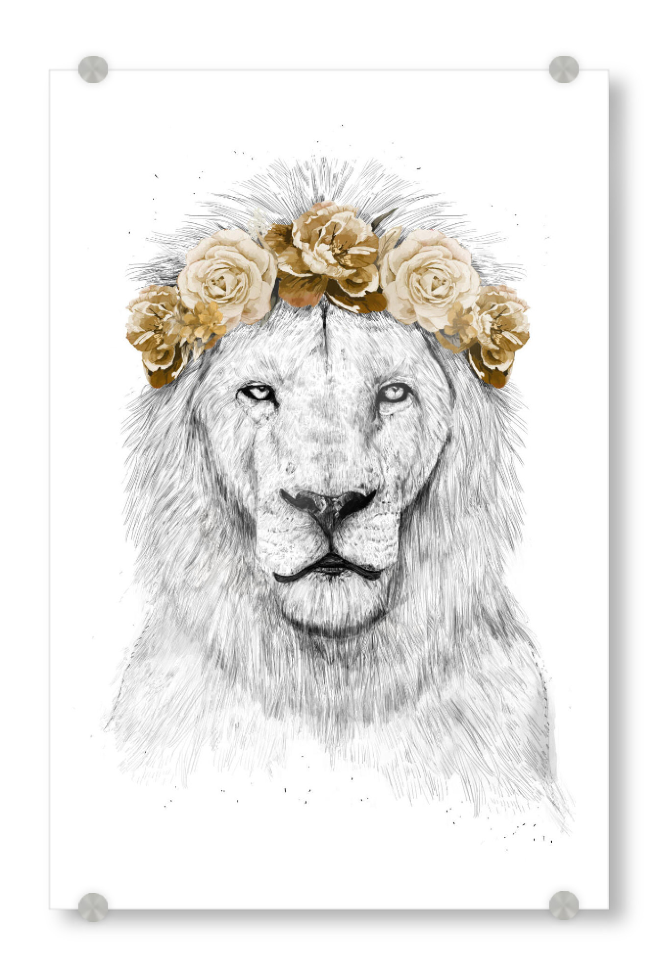 Acrylglasbild "Festival lion (color version)" artboxONE - Floral,Tiere,Festivals