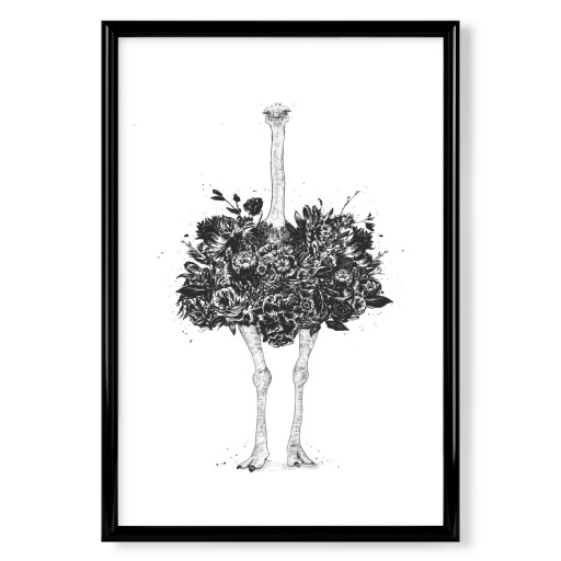 Floral Ostrich