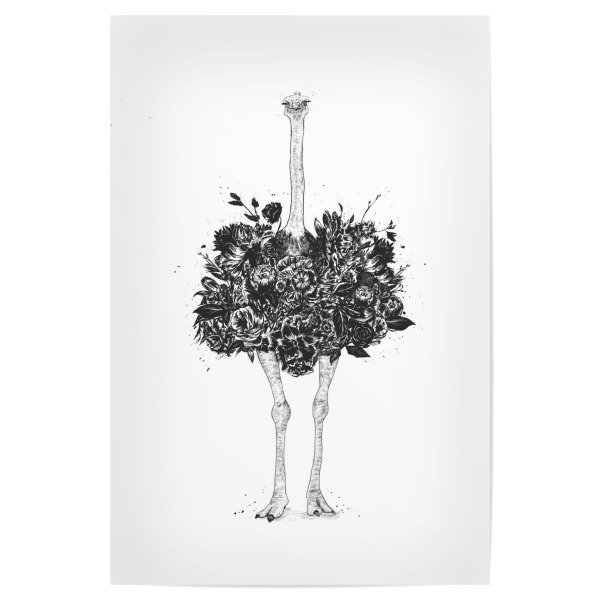 Poster 30x20 cm "Floral Ostrich" artboxONE - Floral,Tiere,Schwarzweiß