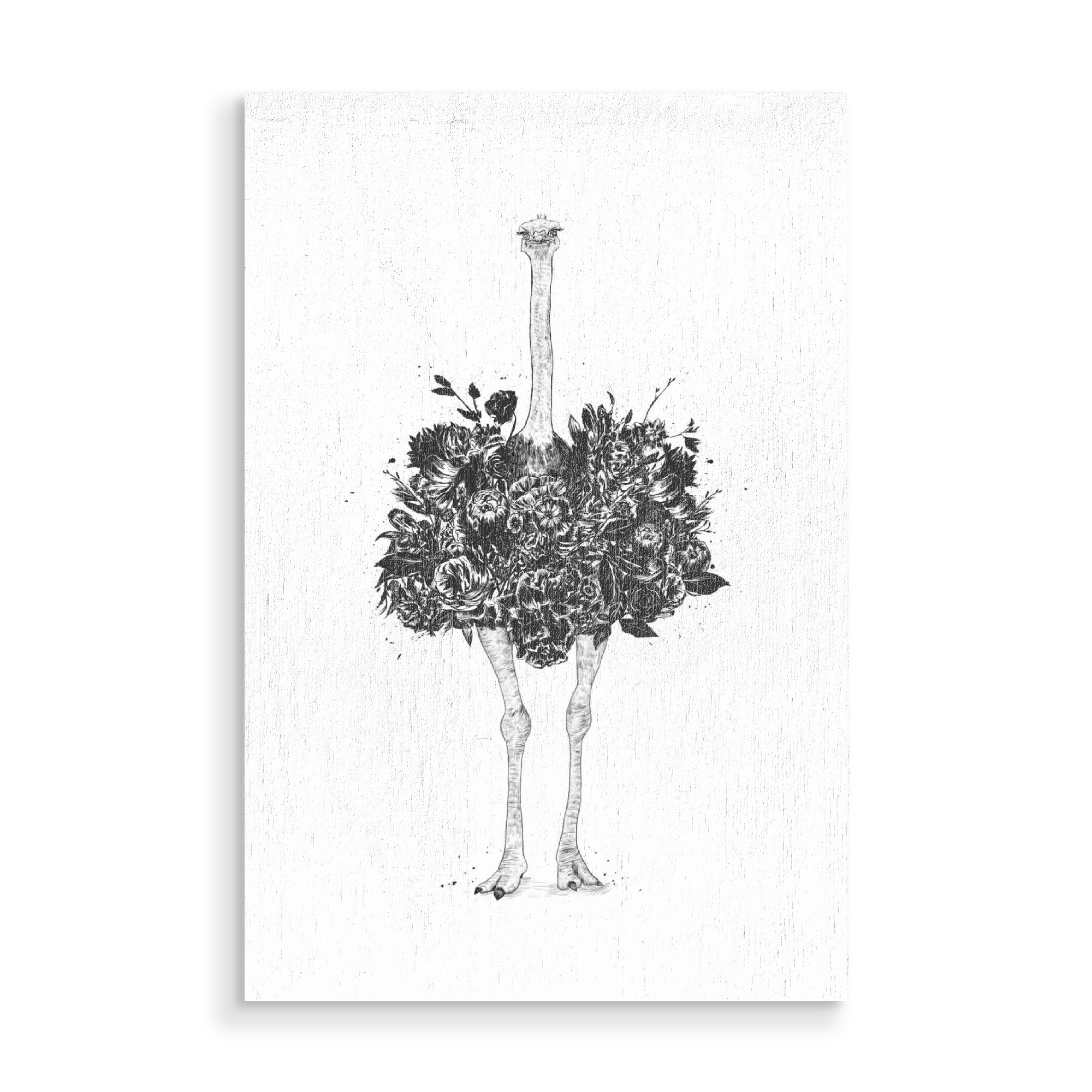 Holzbild "Floral Ostrich" artboxONE - Floral,Tiere,Schwarzweiß - Ostrich,Bird,Animal,Floral,Flowers,Summer,Spring,Humor,Funny,Surreal,Strauss,Strauß