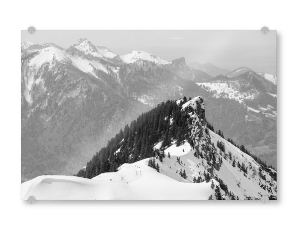 Acrylglasbild "Hochgern" artboxONE - Natur,Schwarzweiß