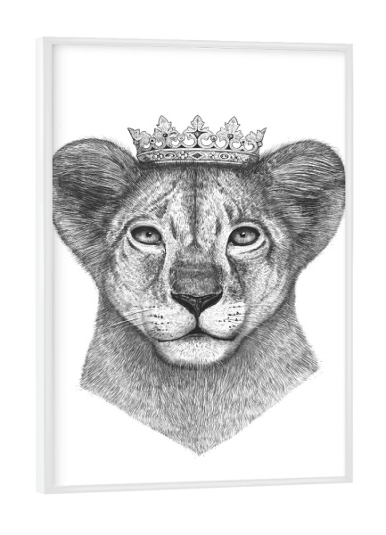 Poster mit weißem Rahmen "The lion prince" artboxONE - Tiere,Schwarzweiß - Löwe,Löwenjunges,Prinz,Kind,Junges,Löwenbaby
