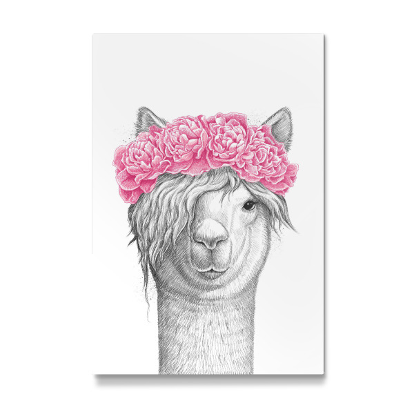 Galerie-Print "Lama with pions" 30x20 cm artboxONE