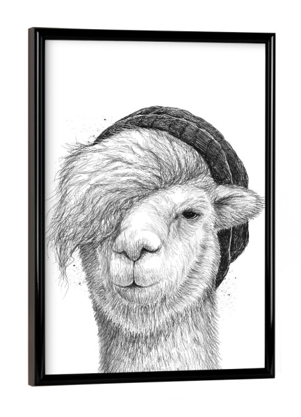 Poster mit schwarzem Rahmen "Lama in a hat" artboxONE - Tiere,Schwarzweiß - Lama,Tier,Lustig,Schwarzweiß