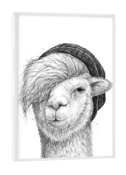 Poster mit weißem Rahmen "Lama in a hat" artboxONE - Tiere,Schwarzweiß - Lama,Tier,Lustig,Schwarzweiß