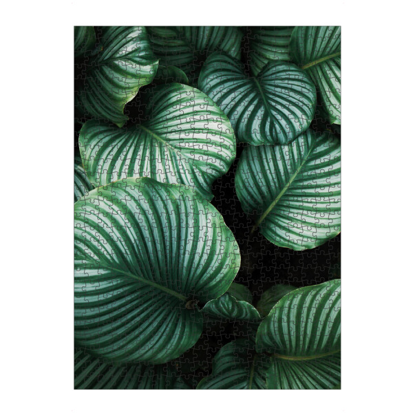 artboxONE Puzzle "Tropical leaves Photography" artboxONE - Natur,Floral - Leaf,Leaves,Plant,Blatt,Blätter,Pflanze - Bild leaf