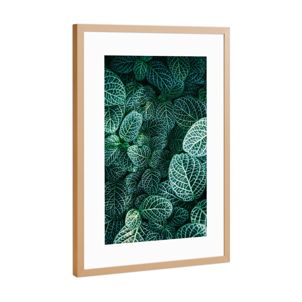 Poster mit Rahmen Kupfer "Leaves Photography" artboxONE - Natur,Floral - Leaves,Leaf,Blatt,Blätter