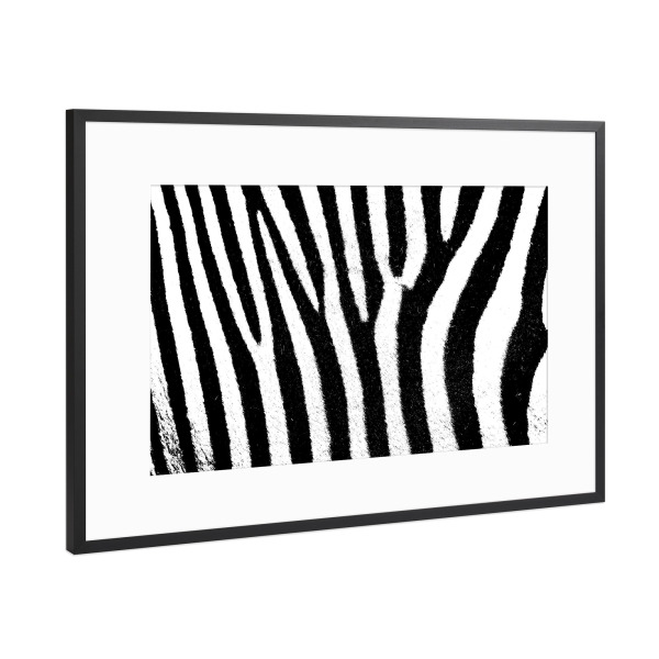 Poster mit Rahmen Schwarz (Metallic) "Zebra Streifen Muster" artboxONE - Tiere,Schwarzweiß,Reise / Afrika - Zebra,Streifen,Stripes