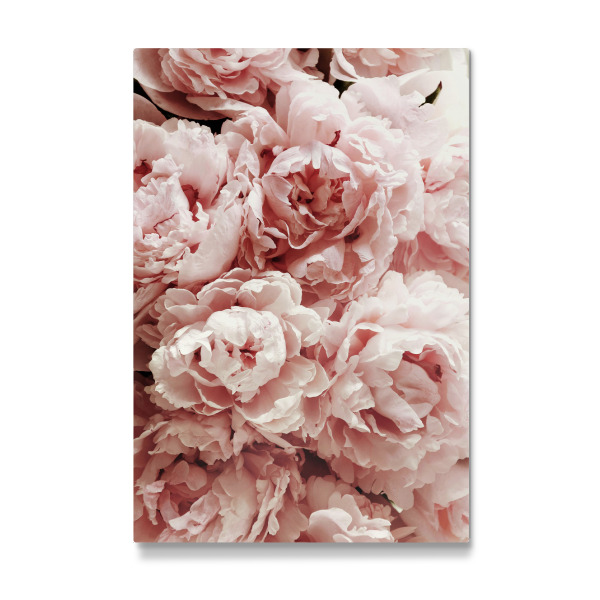 Galerie-Print "Pastel Pink Peony Flowers" 30x20 cm artboxONE