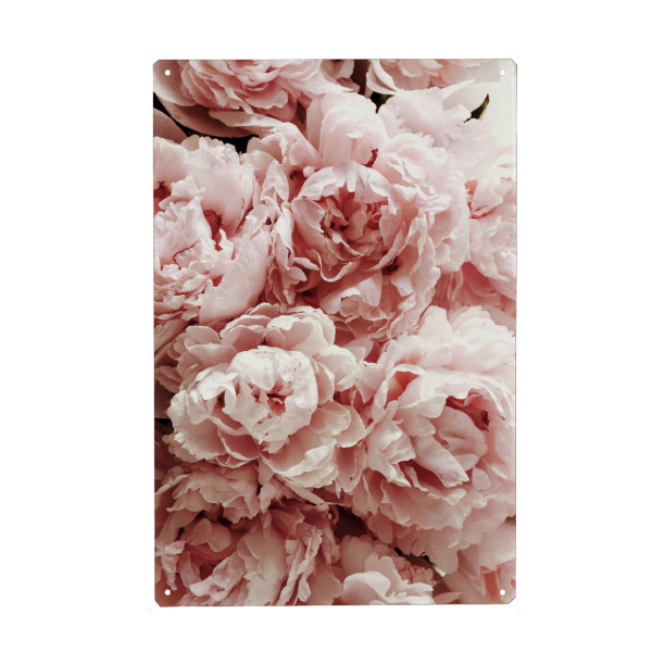 Holzbild "Pastel Pink Peony Flowers" artboxONE - Natur,Floral - Flower,Flowers,Peonies,Peony,Pfingstrose,Pfingstrosen