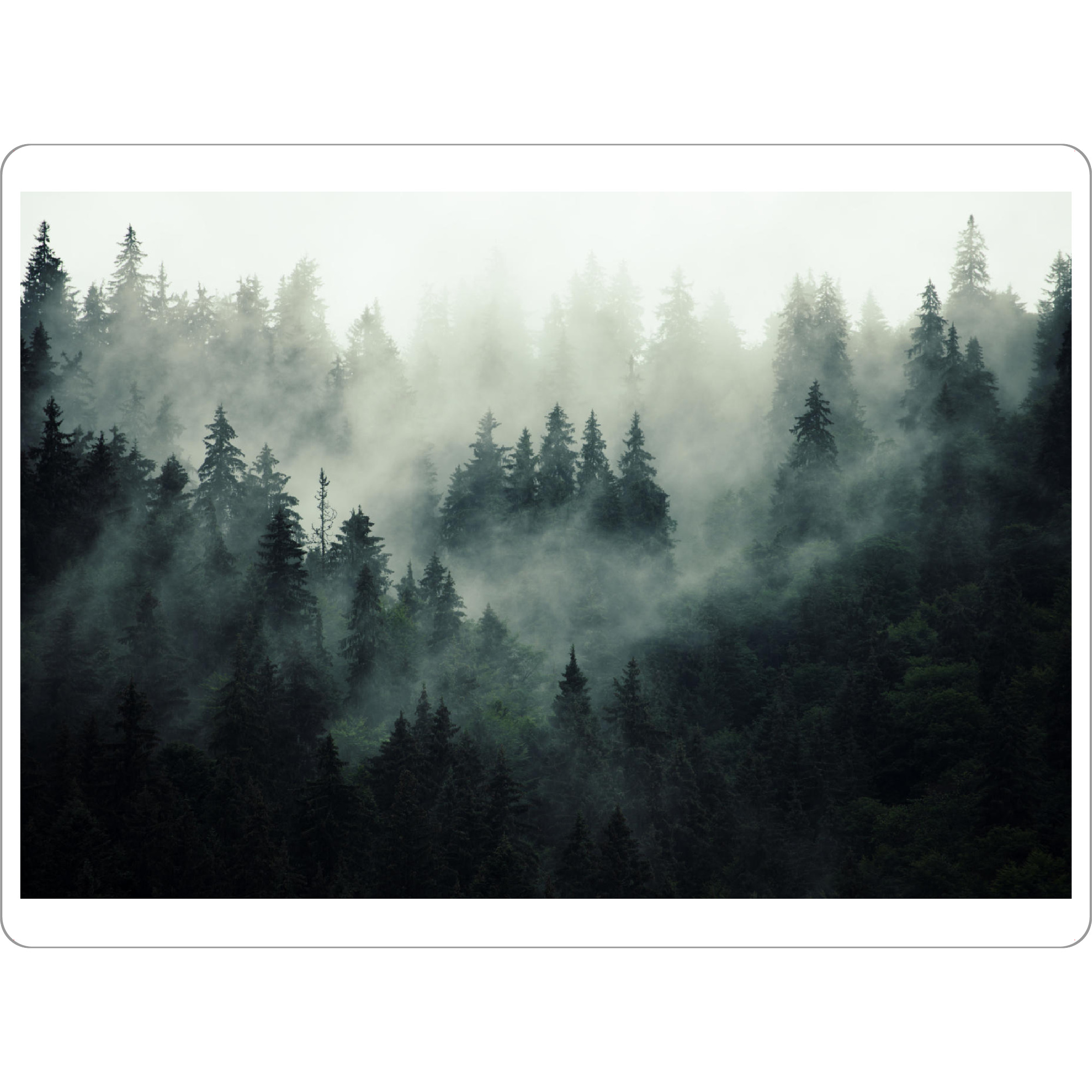 Tischset "Mist Forest Mountain" artboxONE - Natur - Fog,Forest,Wald,Nebel - Bild fog
