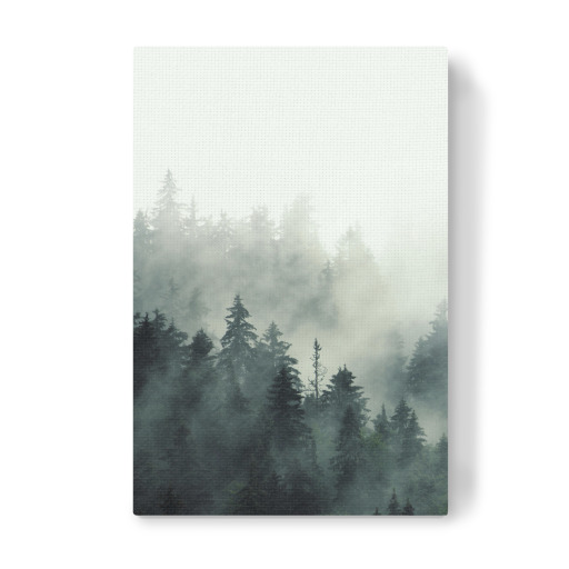 Mist Forest Mountain