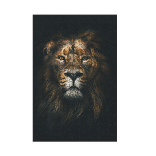 African Lion