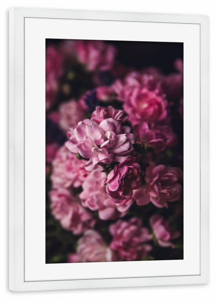 Poster mit Rahmen weiß "Purple flower art" artboxONE - Natur,Floral - Flowers,Flower,Blumen,Rose,Blume,Roses,Rosen