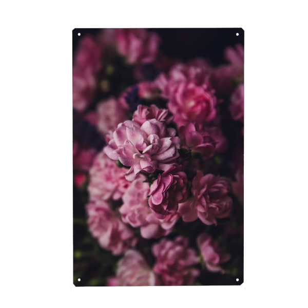 Metall Poster "Purple flower art" artboxONE - Natur,Floral - Flowers,Flower,Blumen,Rose,Blume,Roses,Rosen - Blechschild
