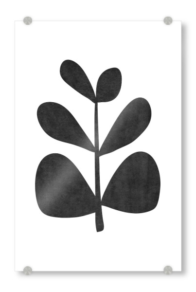 Acrylglasbild "Botanical plant abstract leaf" artboxONE - Floral,Schwarzweiß - Plant,Leaf,Leaves,Blatt,Blätter