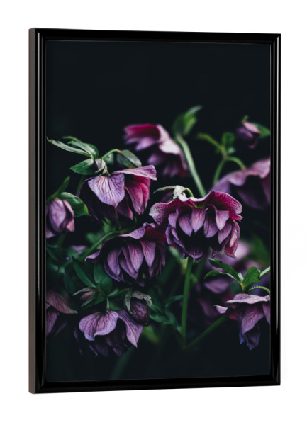 Poster mit schwarzem Rahmen "Pink Flowers" artboxONE - Natur,Floral - Flower,Flowers,Blume,Blumen
