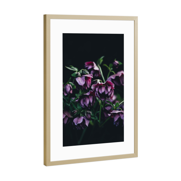 Poster mit Rahmen Gold "Pink Flowers" artboxONE - Natur,Floral - Flower,Flowers,Blume,Blumen