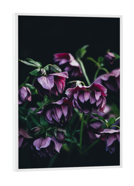 Poster mit weißem Rahmen "Pink Flowers" artboxONE - Natur,Floral - Flower,Flowers,Blume,Blumen