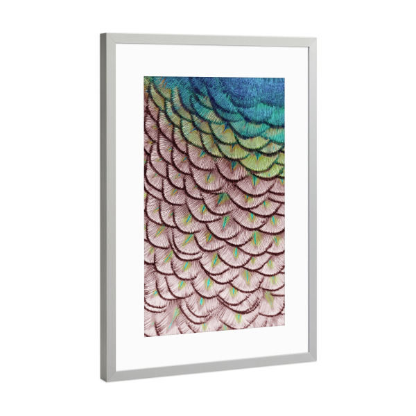 Poster mit Rahmen Silber "Pink Scallops" artboxONE - Tiere,Abstrakt - Federn,Federn,Pfau,Pfau