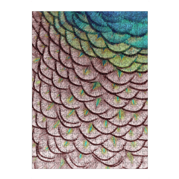 artboxONE Puzzle "Pink Scallops" artboxONE - Tiere,Abstrakt - Federn,Federn,Pfau,Pfau - Bild federn