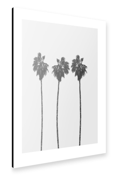 Alu-Dibond "Tree Palms" 30x20 cm artboxONE