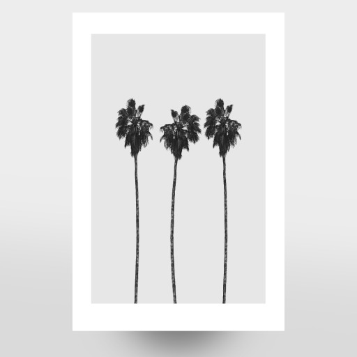 Tree Palms