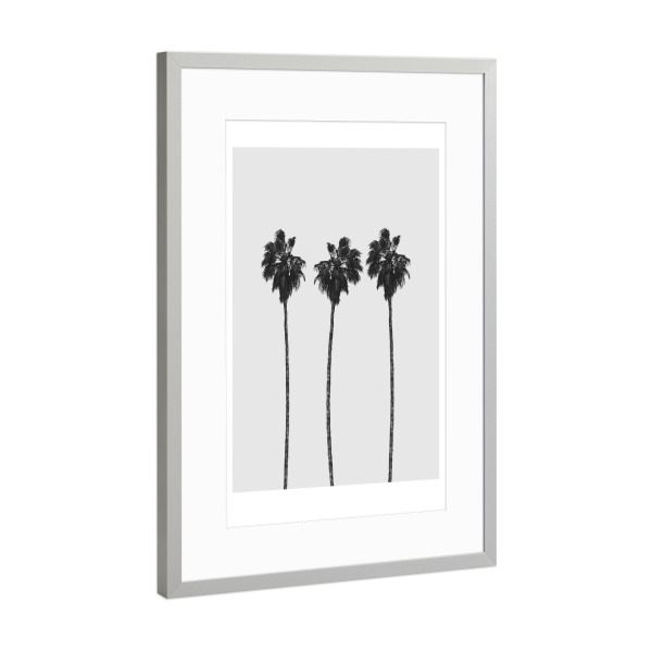Poster mit Rahmen Silber "Tree Palms" artboxONE - Natur,Reise,Schwarzweiß,Reise / Strand und Meer - Palm,Palms,Palme,Palmen