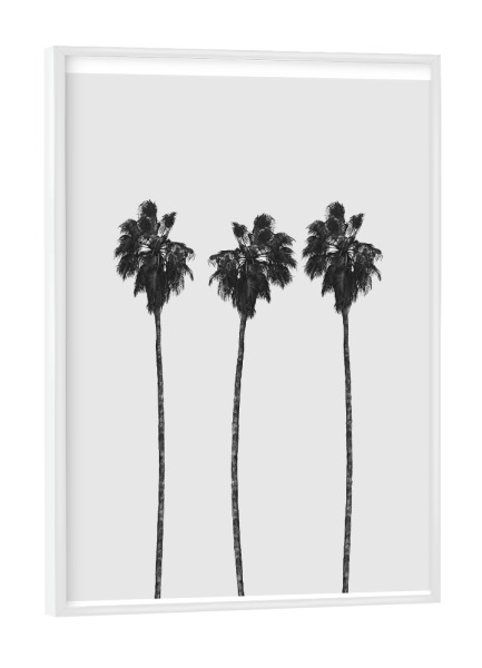 Poster mit weißem Rahmen "Tree Palms" artboxONE - Natur,Reise,Schwarzweiß,Reise / Strand und Meer - Palm,Palms,Palme,Palmen