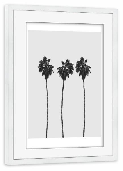 Poster mit Rahmen weiß "Tree Palms" artboxONE - Natur,Reise,Schwarzweiß,Reise / Strand und Meer - Palm,Palms,Palme,Palmen