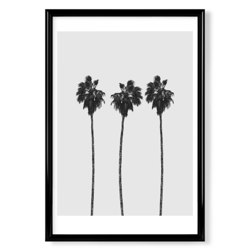 Tree Palms