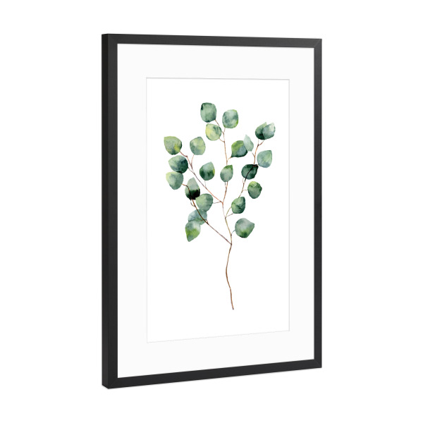 Poster mit Rahmen Schwarz (Metallic) "Watercolor Eucalyptus" artboxONE - Floral - Eucalyptus