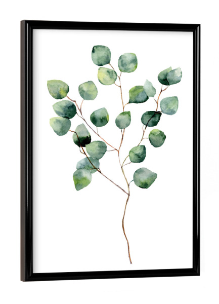Poster mit schwarzem Rahmen "Watercolor Eucalyptus" artboxONE - Floral - Eucalyptus
