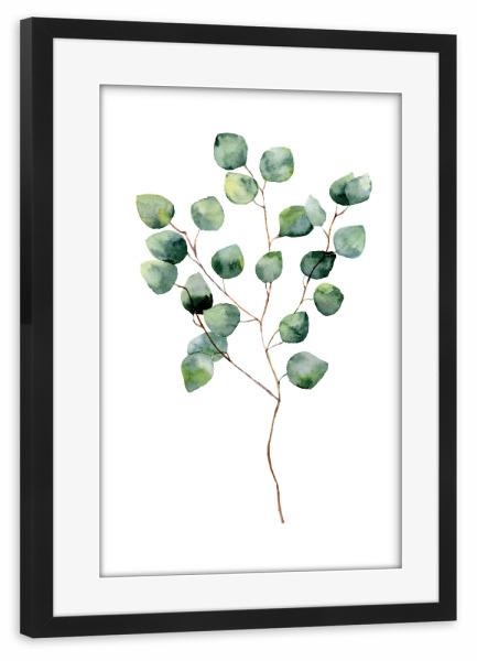 Poster mit Rahmen schwarz "Watercolor Eucalyptus" artboxONE - Floral - Eucalyptus